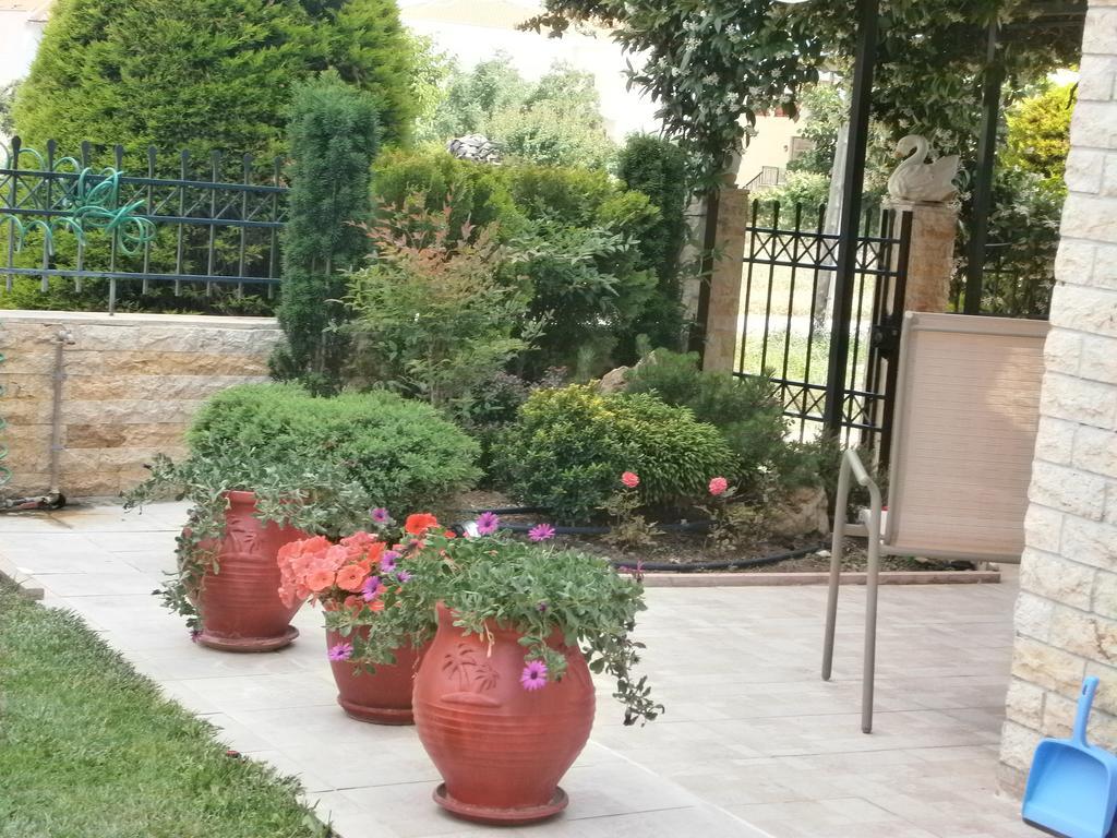 Sofia'S Villa Nikiti  Esterno foto